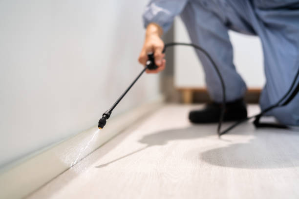 Licensed Cockroach Control service in Chester, CA - Nex Pest Control