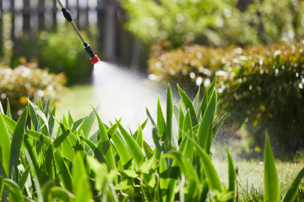 24/7 Emergency Cockroach Control experts in Chester, CA