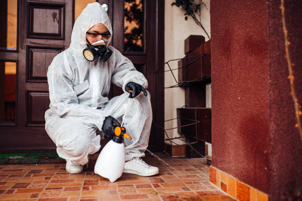 Reliable Cockroach Control contractor in Chester, CA by Nex Pest Control