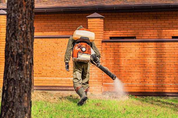 Trusted Mosquito Control service in Chester, CA - Nex Pest Control